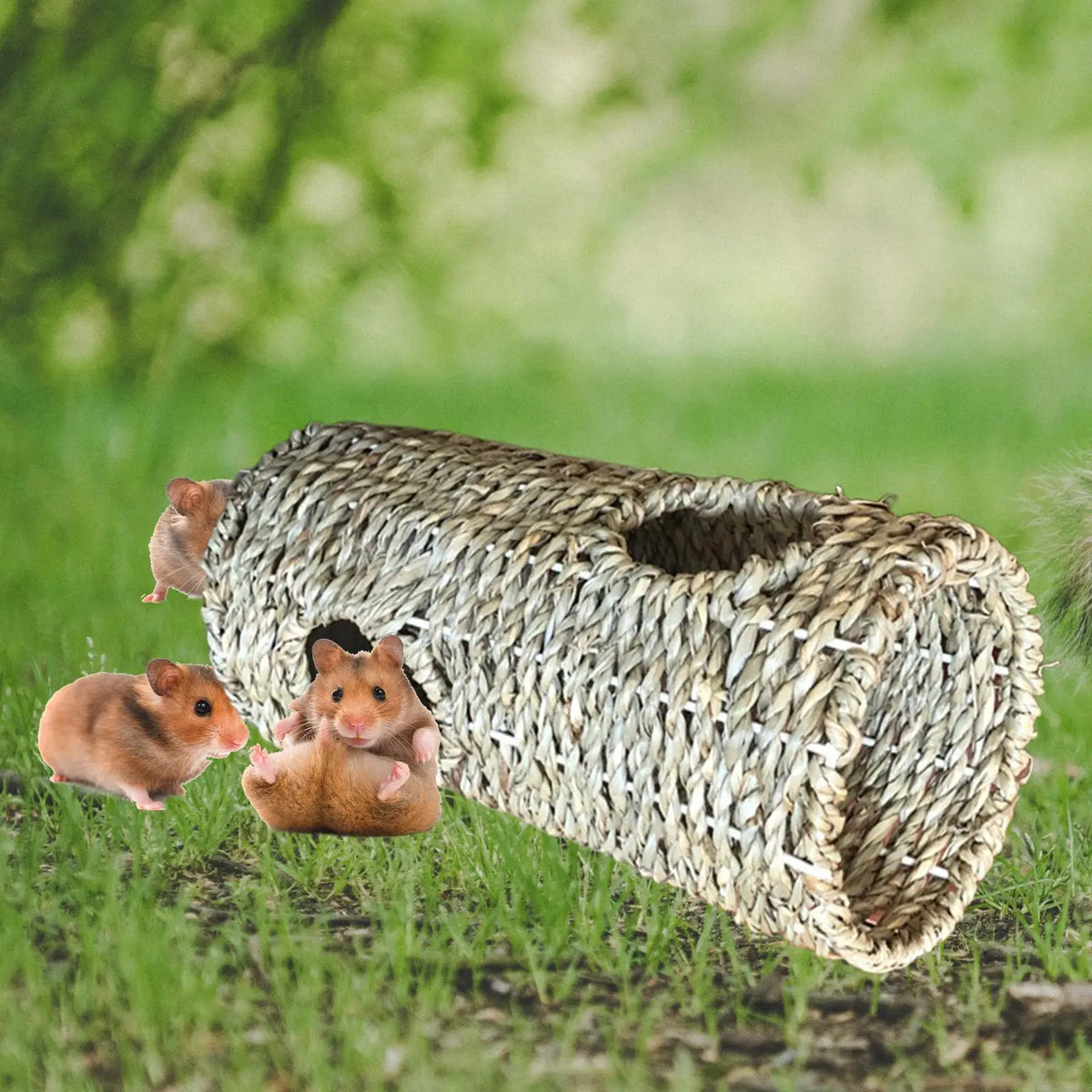 Hamster Tunnel Hamster Toys Home Straw - MyPetDollar.com