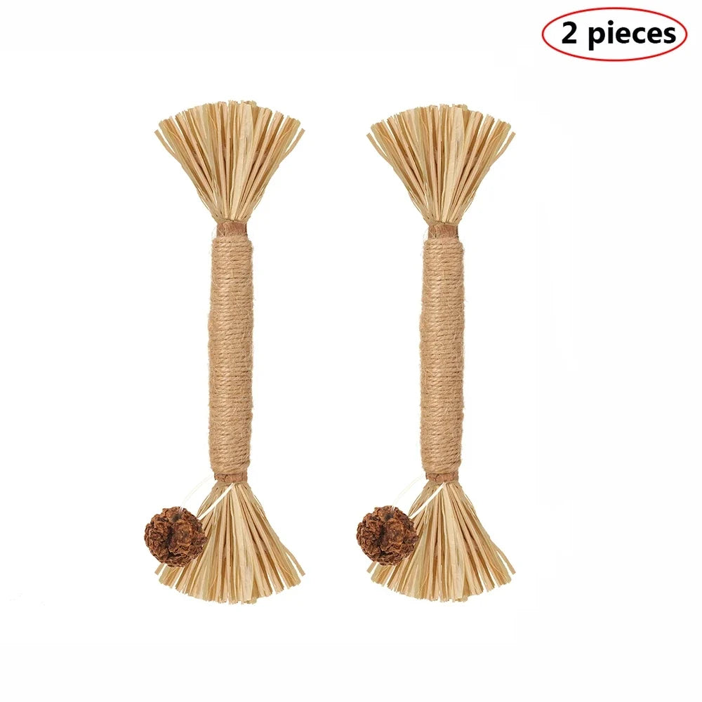 Natural Matatabi Cat Snacks Sticks Cleaning Tooth Catnip