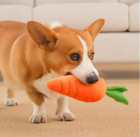 Big Size Sounding Carrot Pet Chew Toy - MyPetDollar.com