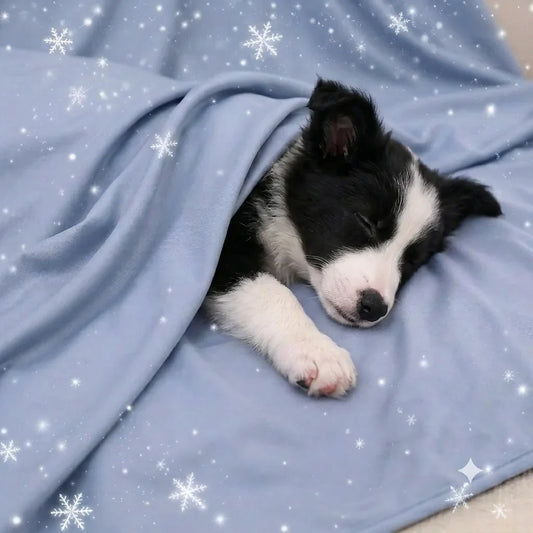 Summer Cooling Thin Blanket For Dogs Cats - MyPetDollar.com