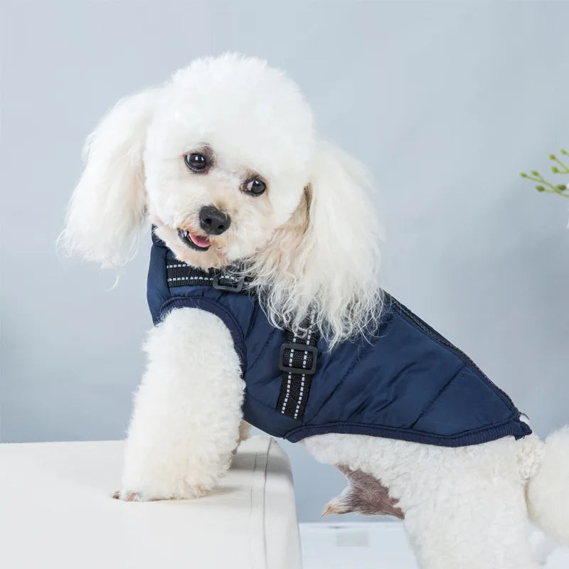 Customizable Winter Dog Clothes GWT330600 - MyPetDollar.com