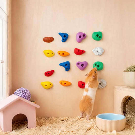 16Pcs Hamster Climbing Wall Toys Colorful - MyPetDollar.com