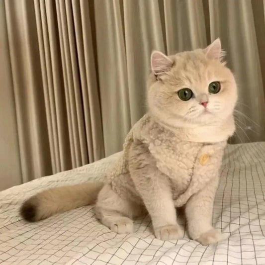 Cat Clothes Warm Lambhair Vest Soft Cozy - MyPetDollar.com