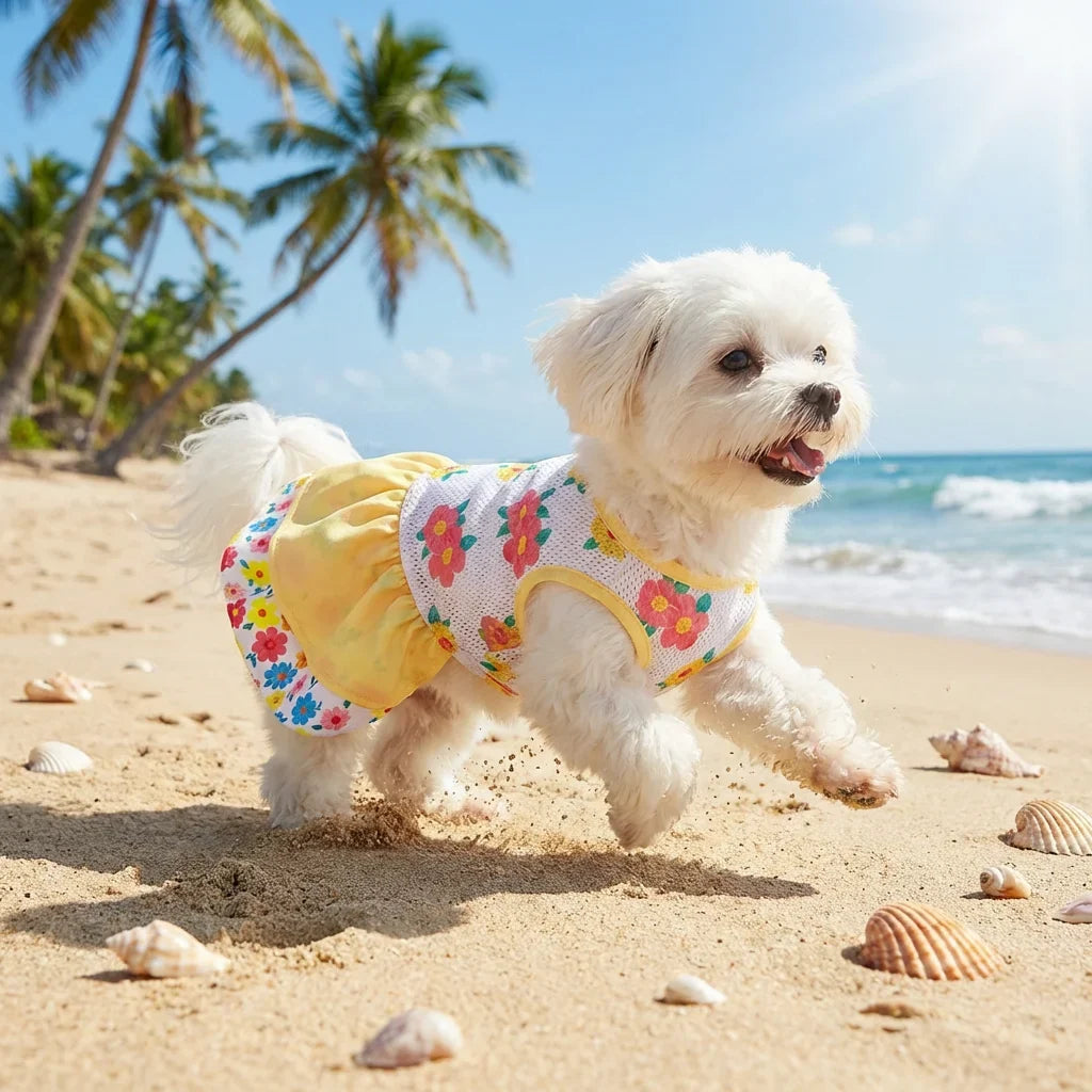 Pet Dog Dress, Yellow-White Double-Layer - MyPetDollar.com