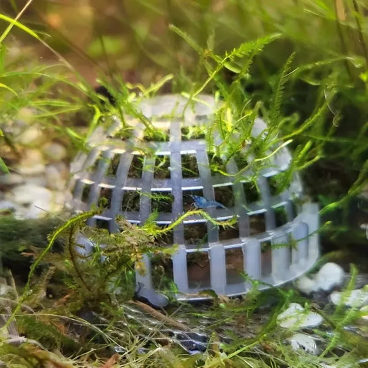 Aquarium Moss Ball Filter Aquatic Pet - MyPetDollar.com
