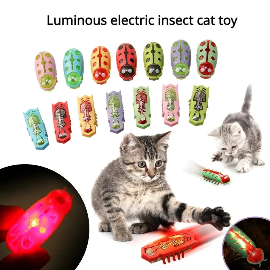 Cat Toys Light-up Electric Worms Pet - MyPetDollar.com
