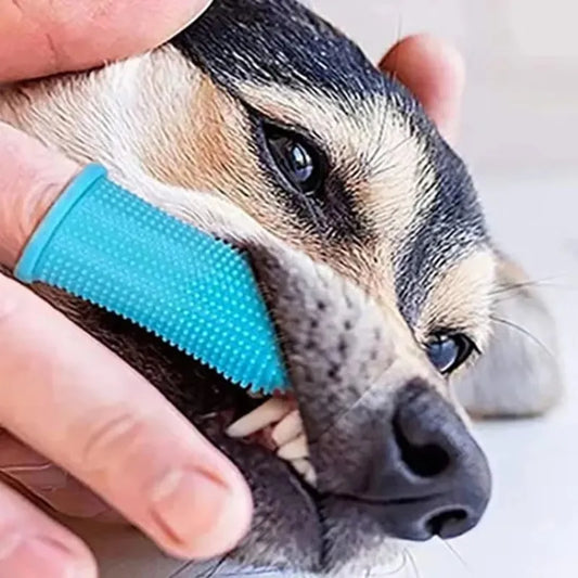 1/2/3pcs Dog Super Soft Pet Finger - MyPetDollar.com
