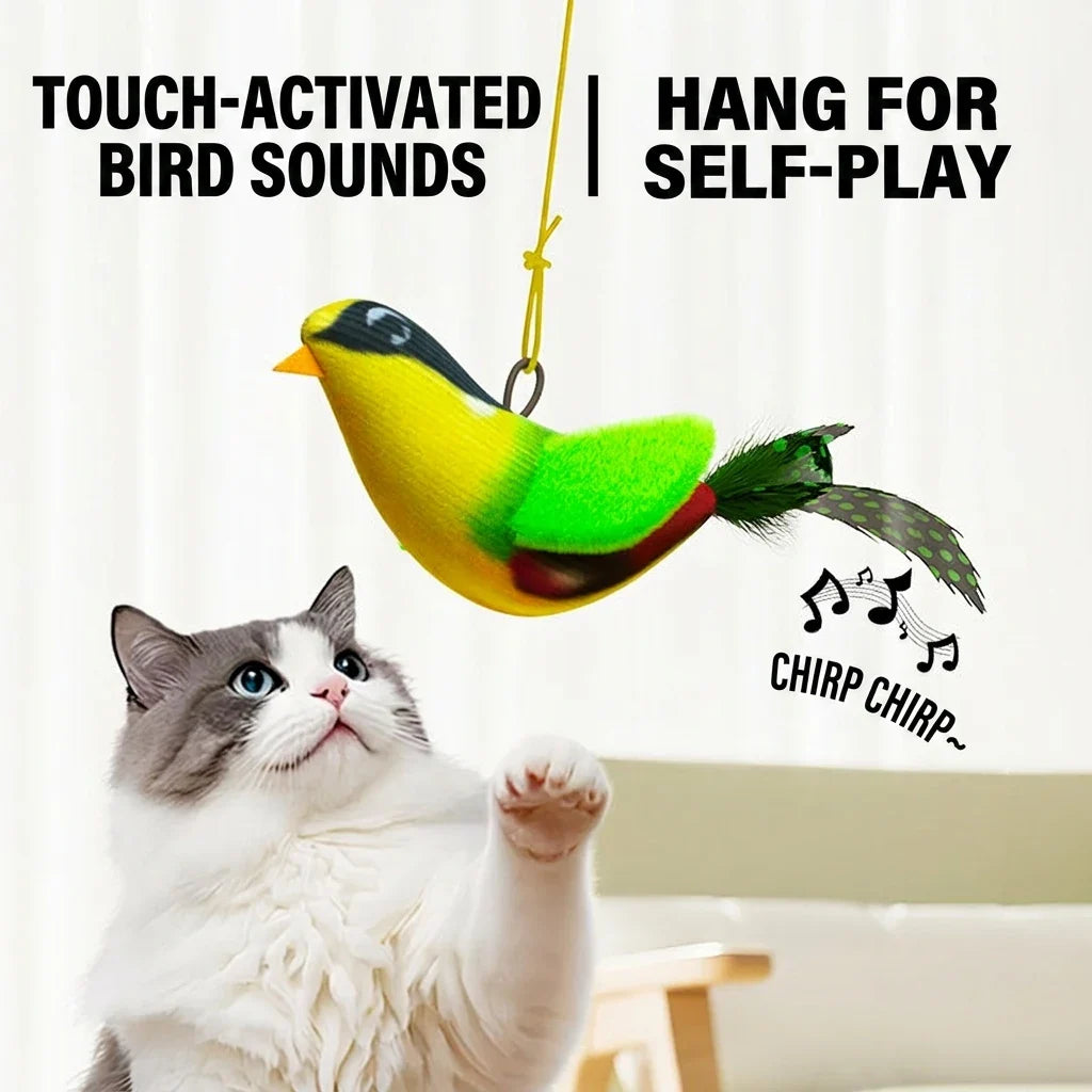 iLMH Indoor Interactive Birds Toy for Cat - MyPetDollar.com