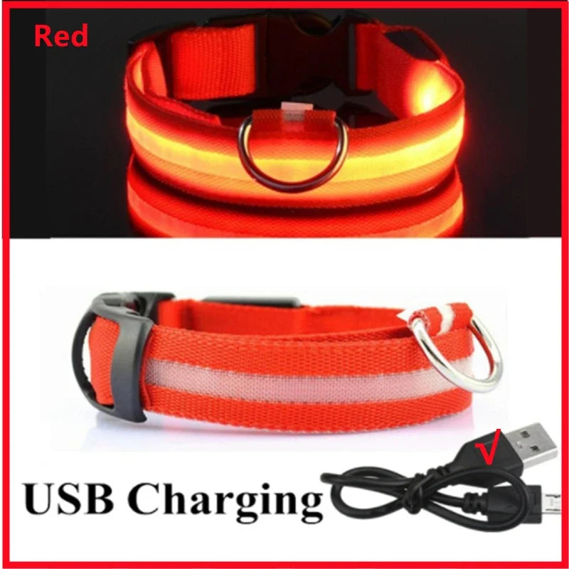 USB Rechargeable Luminous Collar Adjustable - MyPetDollar.com