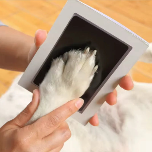 Pet Dog And Cat Paw Print Ink Set Pad Safe - MyPetDollar.com