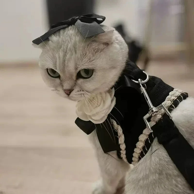 Luxury Cat Clothing Dog Cat Walking Leash - MyPetDollar.com