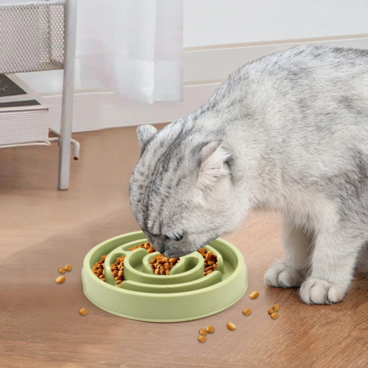 1PC Pet Dog Slow Feeder Bowl Fun Non Slip - MyPetDollar.com