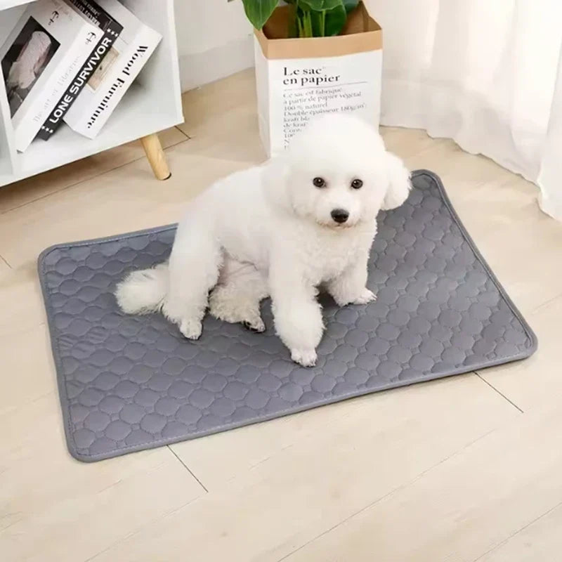 Reusable Dog Pee Pad Blanket Washable Anti - MyPetDollar.com