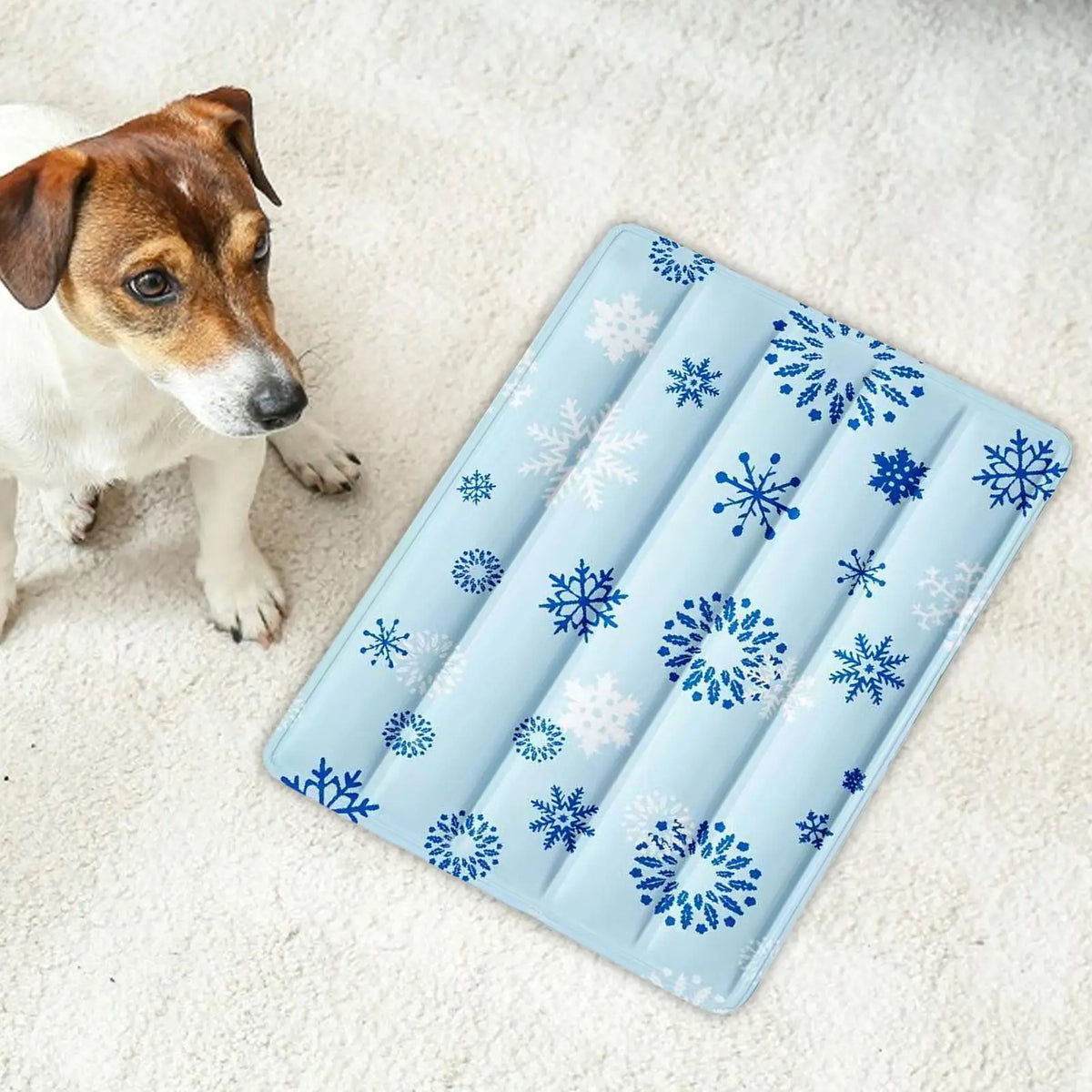Dog Cooling Mat 30x40cm Ice Bed Soft - MyPetDollar.com
