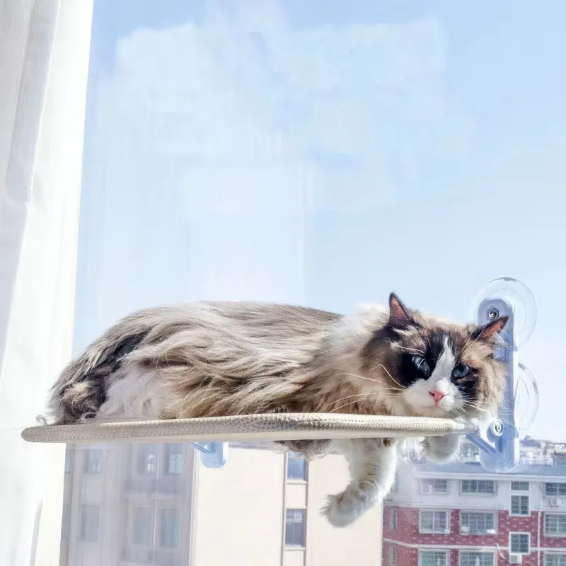 Cat Hammock Foldable Window Suction Cup - MyPetDollar.com