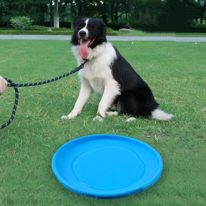 Interactive Silicone Flying Saucer Toy for - MyPetDollar.com
