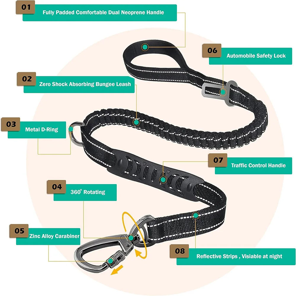Fashion&cool Heavy Duty Dog Leash Especially - MyPetDollar.com