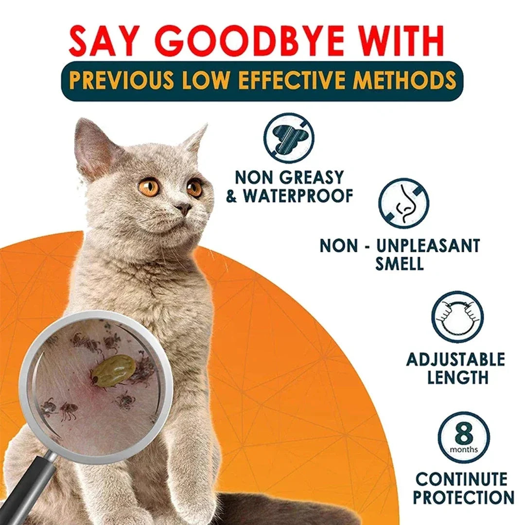 Dog Anti Flea And Tick Collars Pet 8 Month - MyPetDollar.com