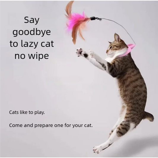New Product Collar Cat Teaser - MyPetDollar.com
