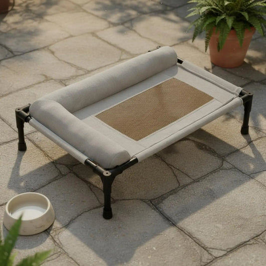 Elevated Pet Bed All-Season Use Raised Dog - MyPetDollar.com