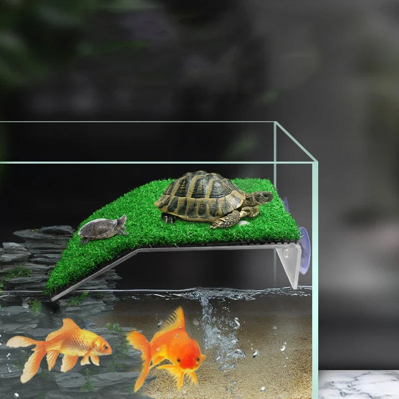 Turtle Basking Platform Suction Cup Habitat - MyPetDollar.com