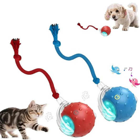 Electronic Interactive Cat Ball USB - MyPetDollar.com