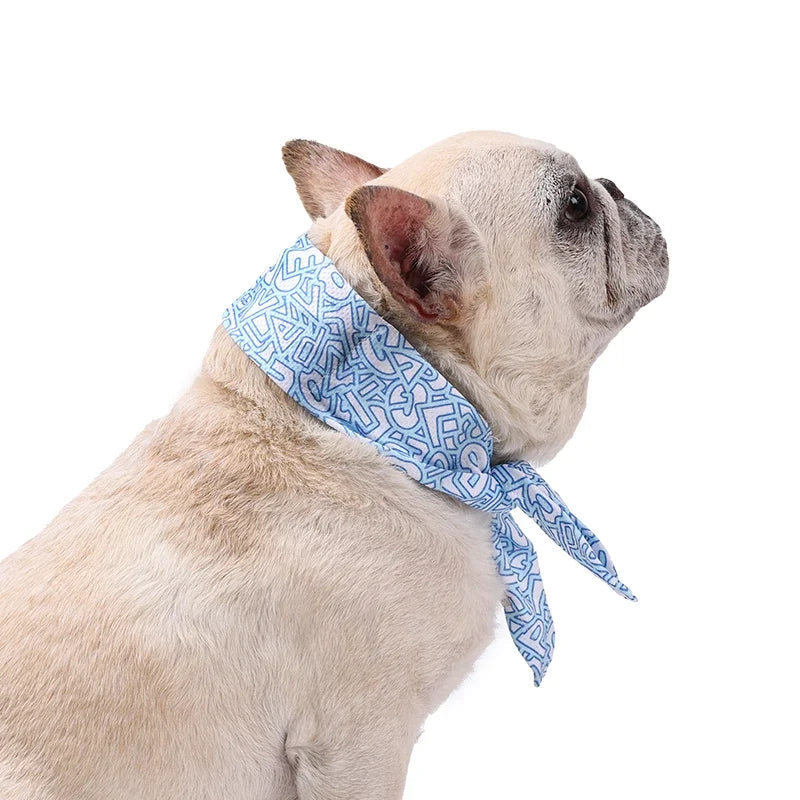 Pet Cooling Gel Neck Band Ice Collar for - MyPetDollar.com
