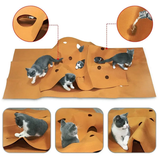 Cat Playing Game Mat Pet Toys Training - MyPetDollar.com