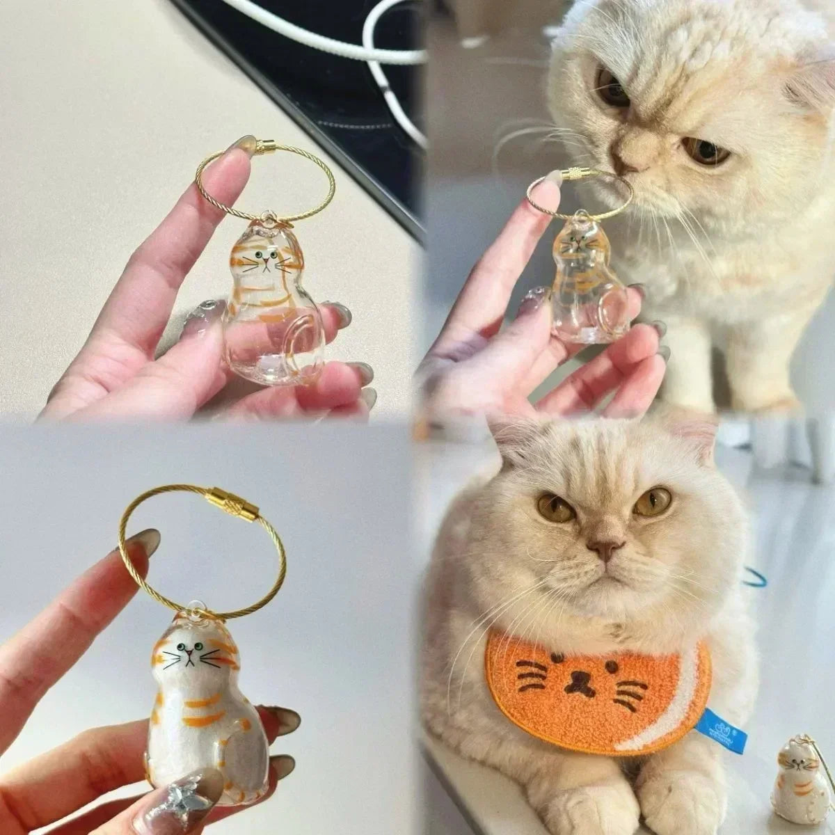 Cute Transparent Cat Fur Display Capsule Toy - MyPetDollar.com