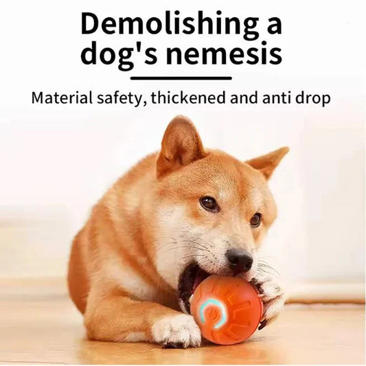 Intelligent Interactive Pet Toy Ball - MyPetDollar.com