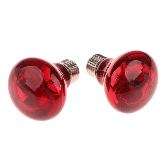 E27 UVA Poultry Bulb Infrared Night Light - MyPetDollar.com