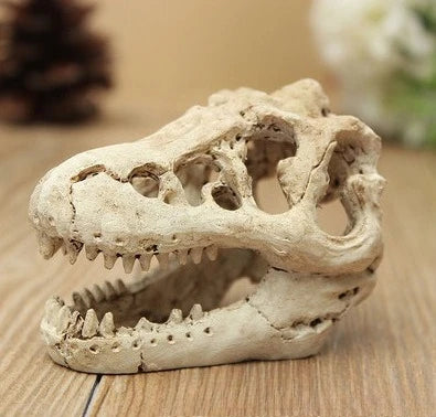 Dinosaur Fossil Fish Tank Aquarium Artificial Decoration