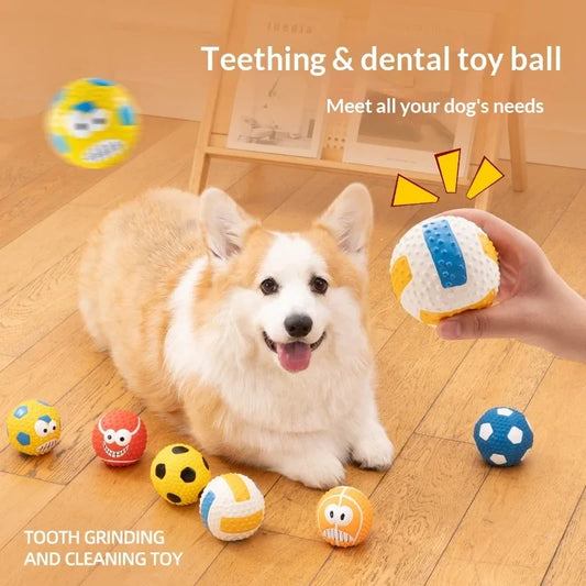 Pawty Dog Toy Ball Chew Resistant Teeth - MyPetDollar.com