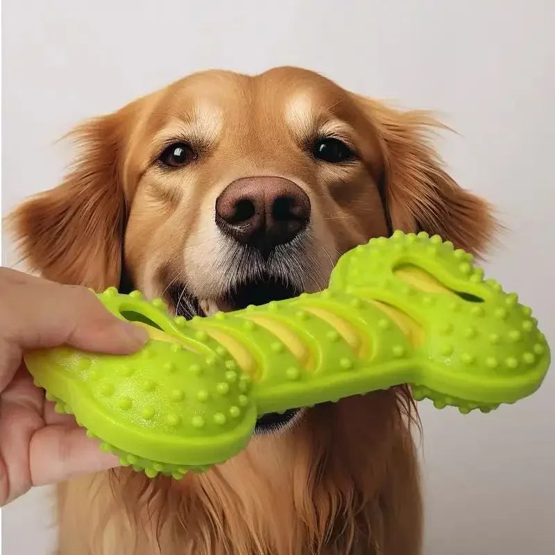 Dog Chew Toys Rubber Bone Bite Resistant Puppy Interactive – Dog Supplies