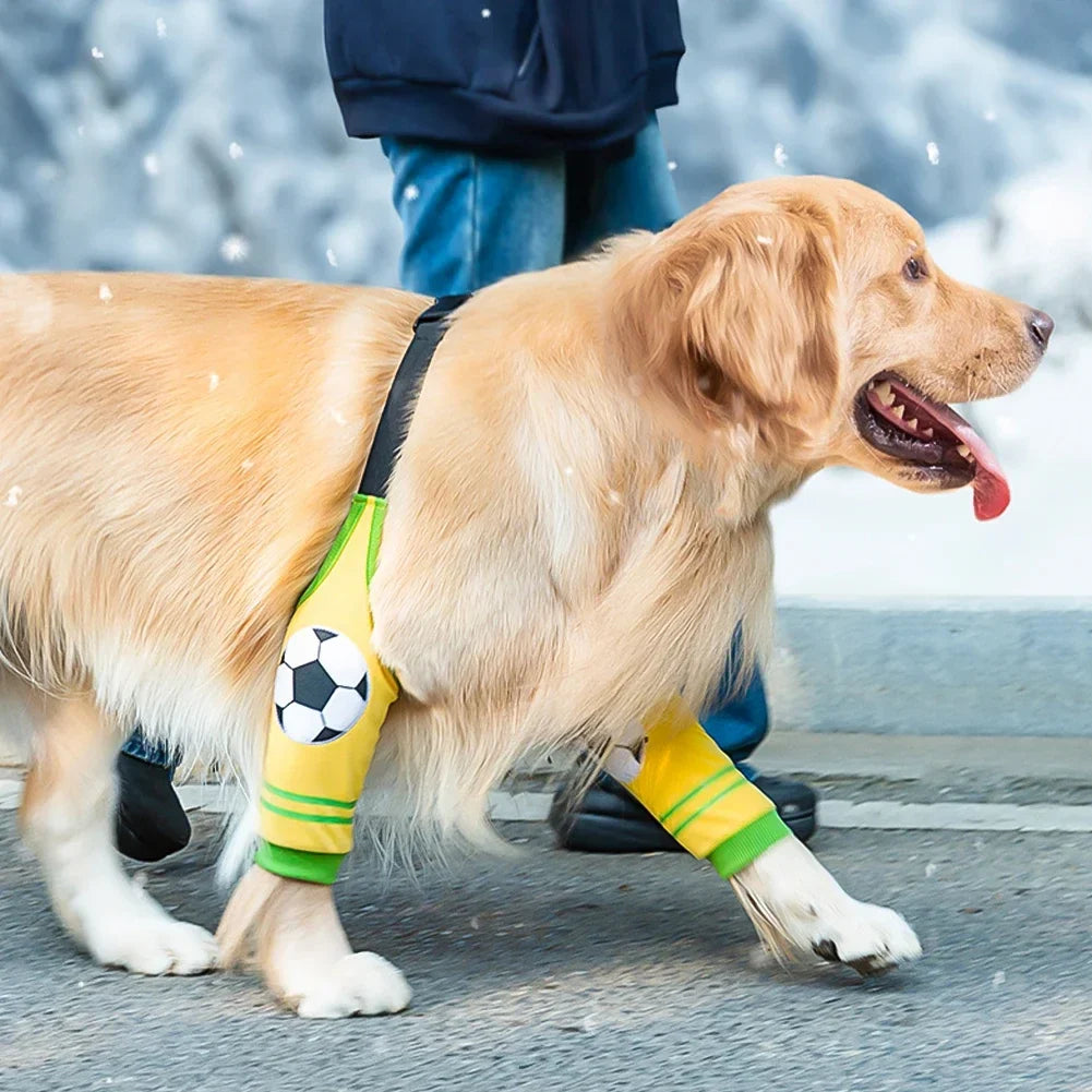 Dog Elbow Brace Protector Pet Knee Pads - MyPetDollar.com