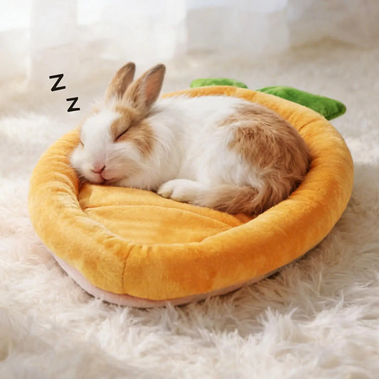 Warm Carrot Shaped Bunny Mat Soft Breathable - MyPetDollar.com