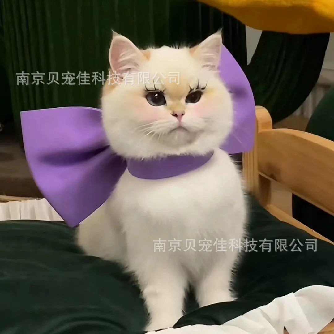 Mary Cat Bow Tie Pet Collar Scarf Cat - MyPetDollar.com