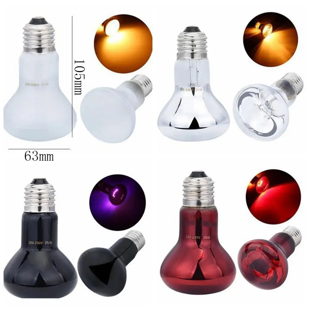 Night Light UVA Led Pet Heating Lamp - MyPetDollar.com