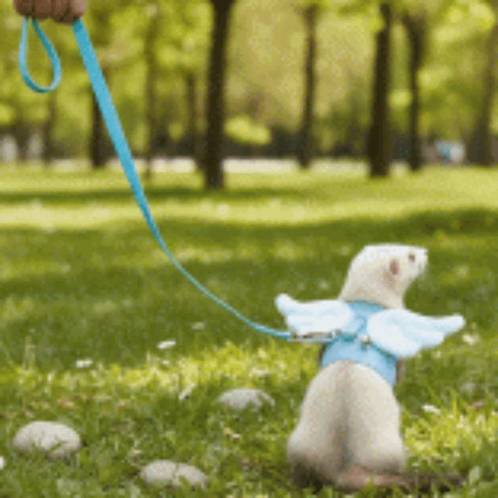 Adjustable Ferret Traction Harness Cartoon - MyPetDollar.com