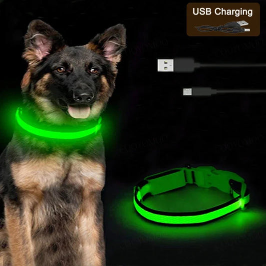 3 Modes Dog Luminous Charge Collar Led Usb - MyPetDollar.com