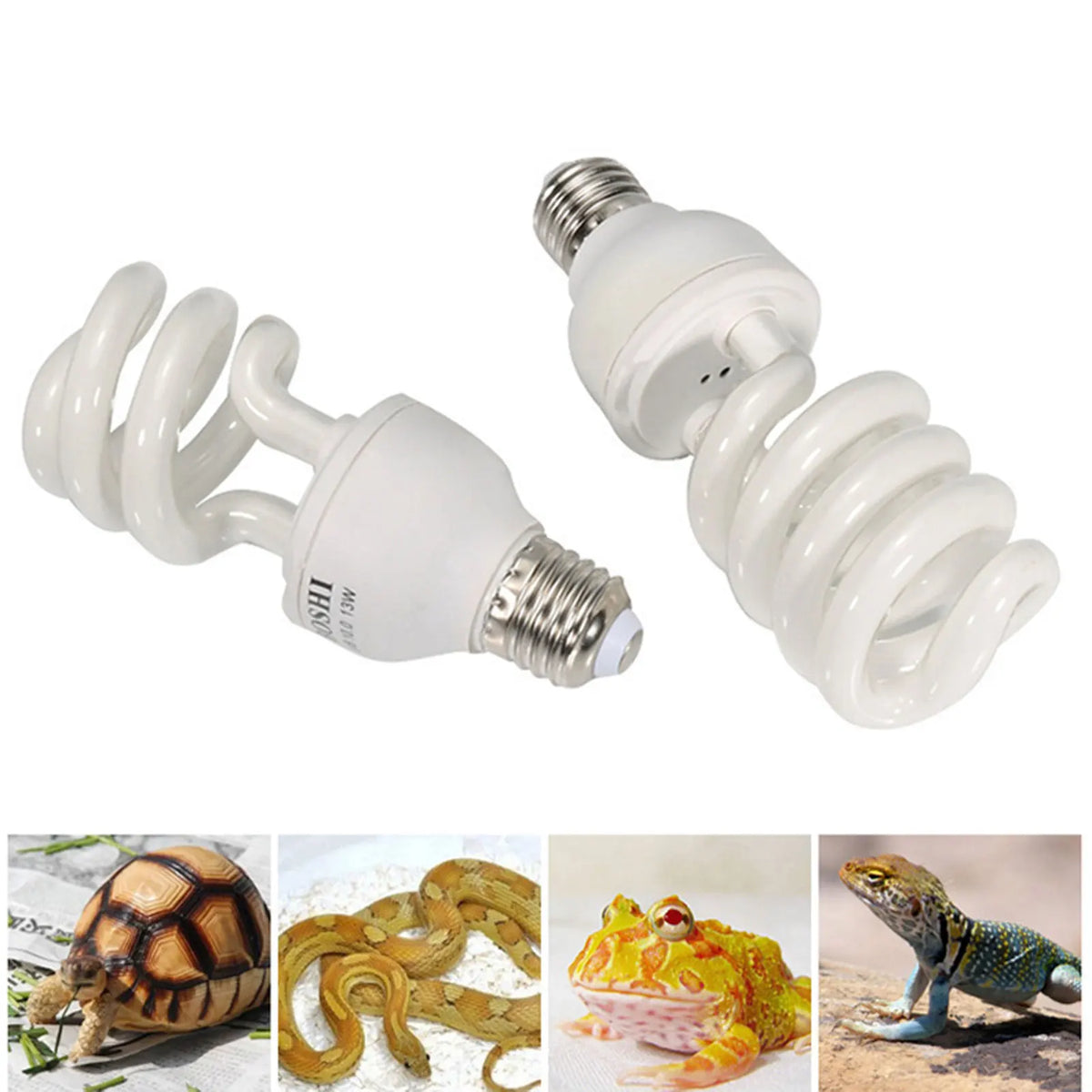 Reptile Heat Bulb Lamp Light High Intensity - MyPetDollar.com