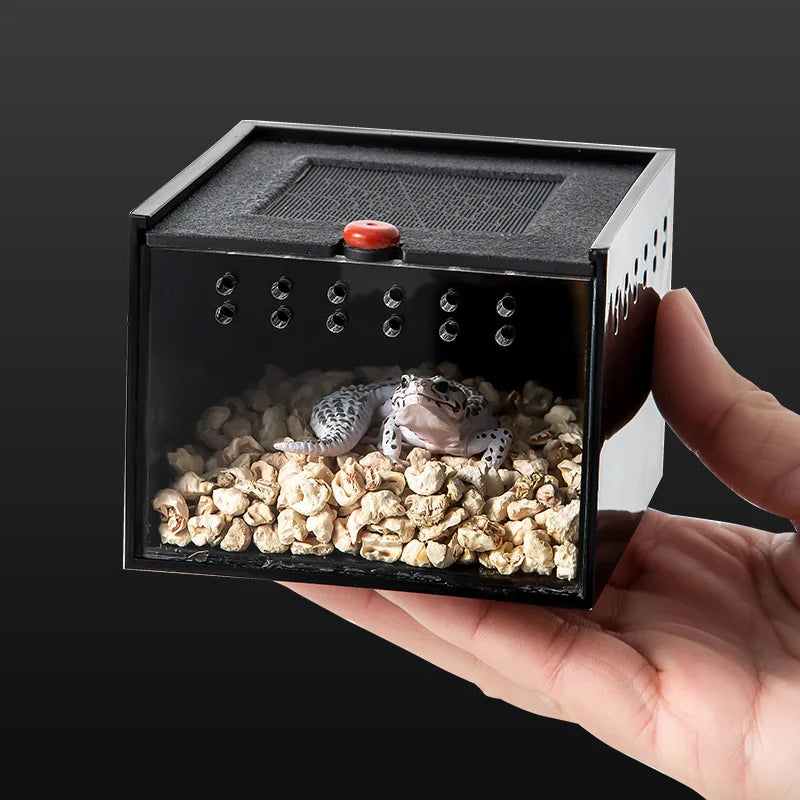 Reptile Crawling Pet Feeding Lizard Pet - MyPetDollar.com