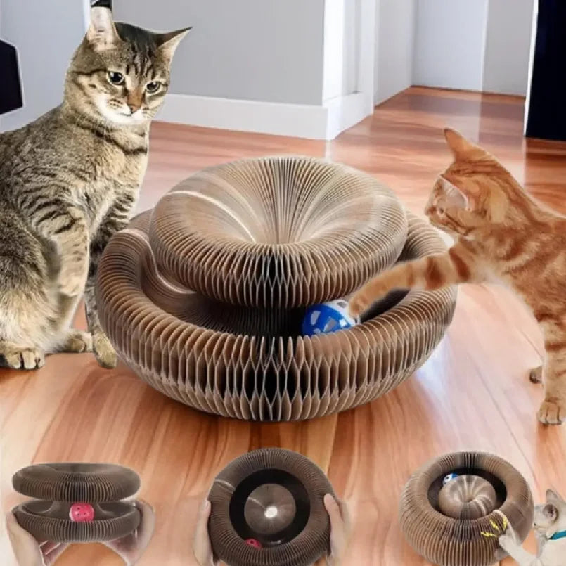 Kitten Curl Toy Foldable Magic Organ Cat - MyPetDollar.com