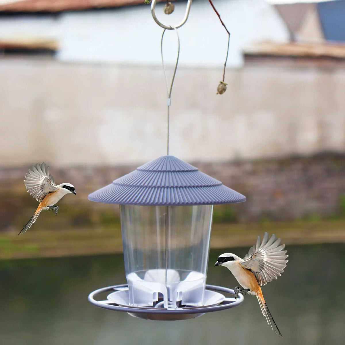 Waterproof Garden Gazebo Hanging Wild Bird - MyPetDollar.com