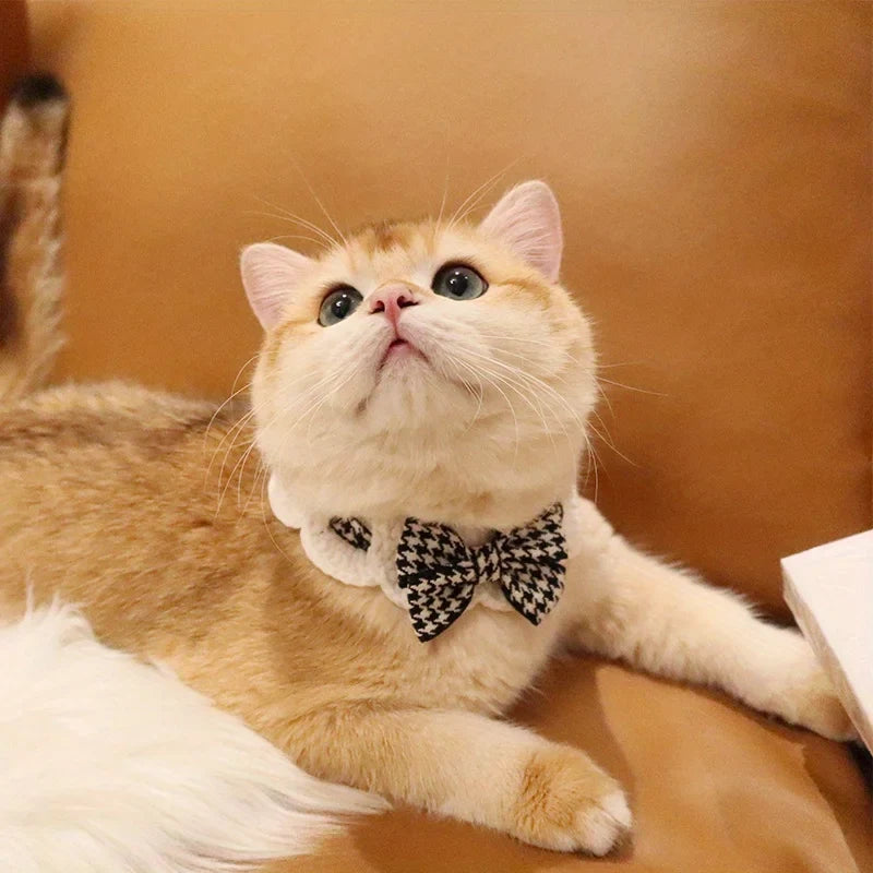1PC Fashionable and Cute Cat Collar with - MyPetDollar.com
