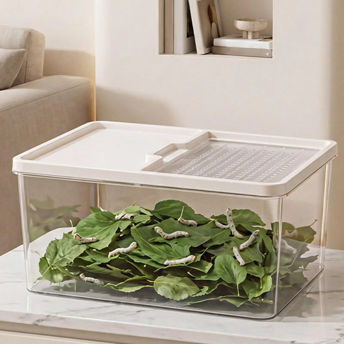 Turtle Aquarium With Ramp Clear Small Animal - MyPetDollar.com
