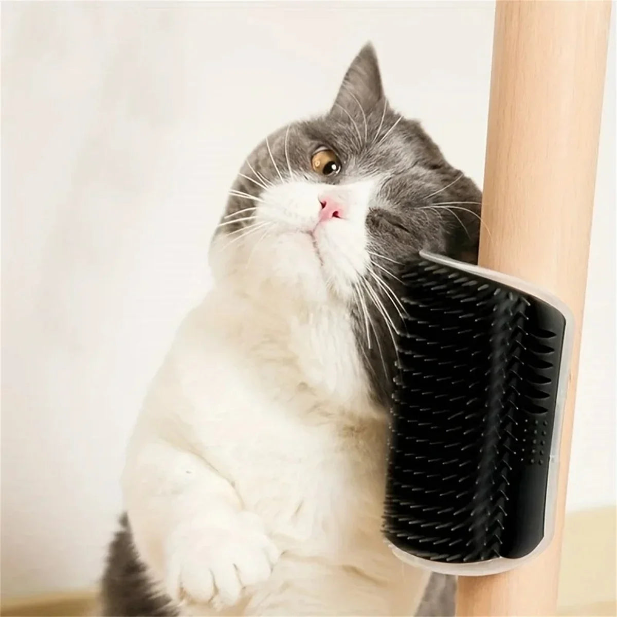 Cat Scratcher Massager for Cats Scratching - MyPetDollar.com