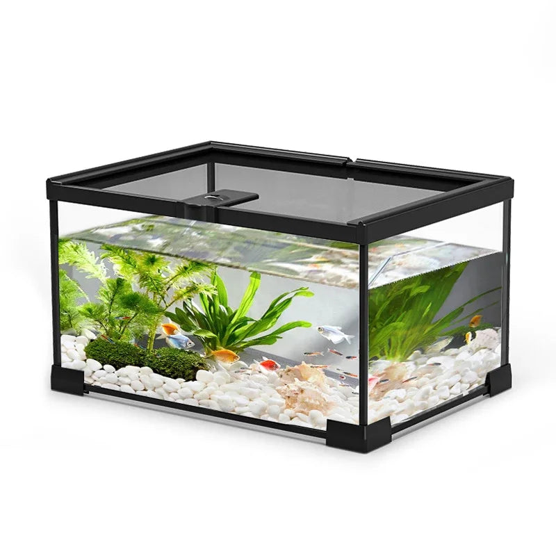 Transparent Terrariums Reptile Amphibians - MyPetDollar.com
