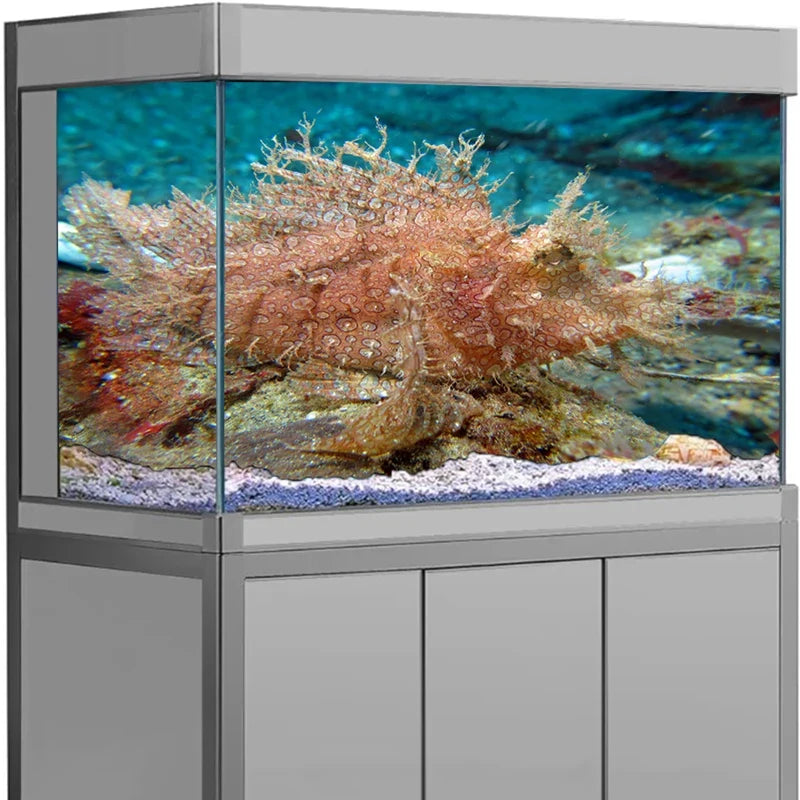 3D Underwater Coral Aquarium Sticker - MyPetDollar.com