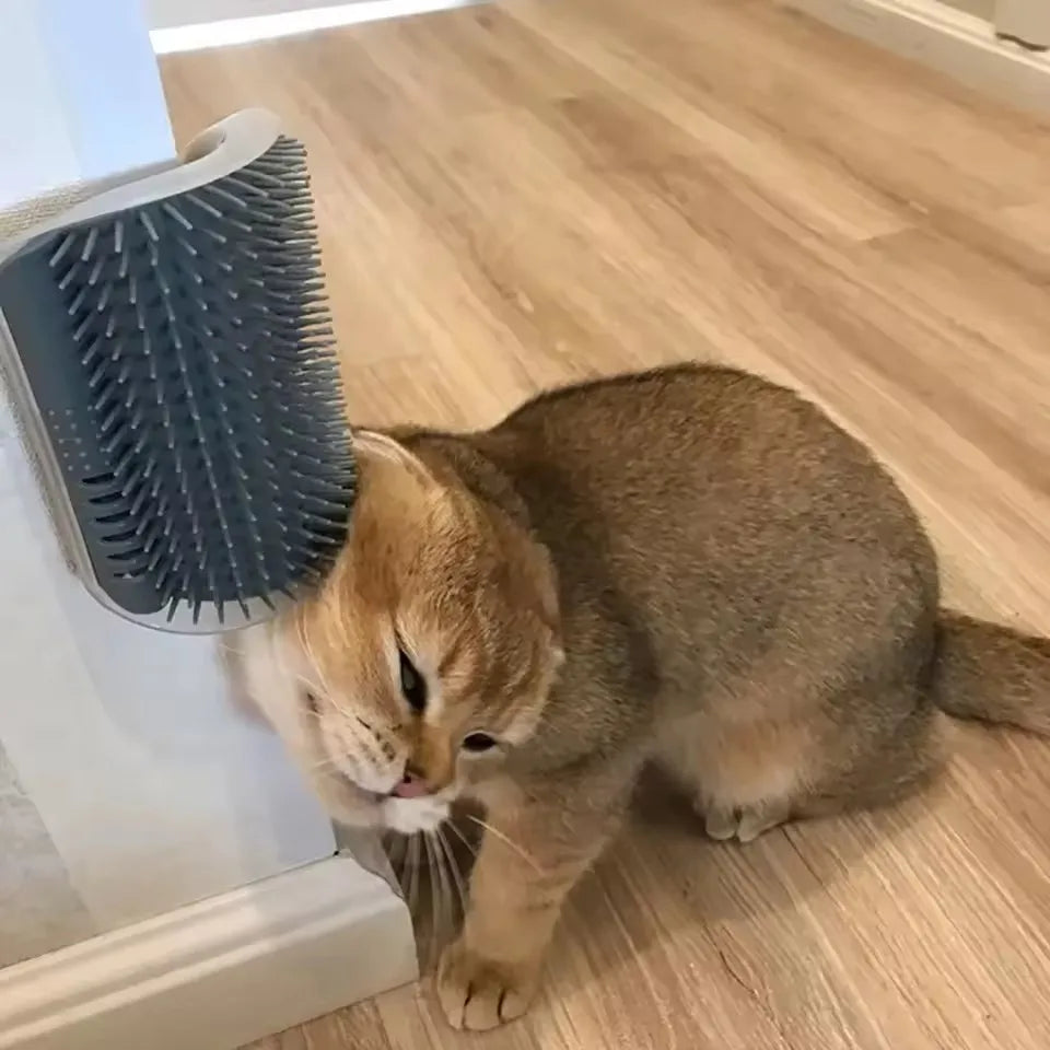 Pet Cat Corner Scrubber Massager Brush, - MyPetDollar.com